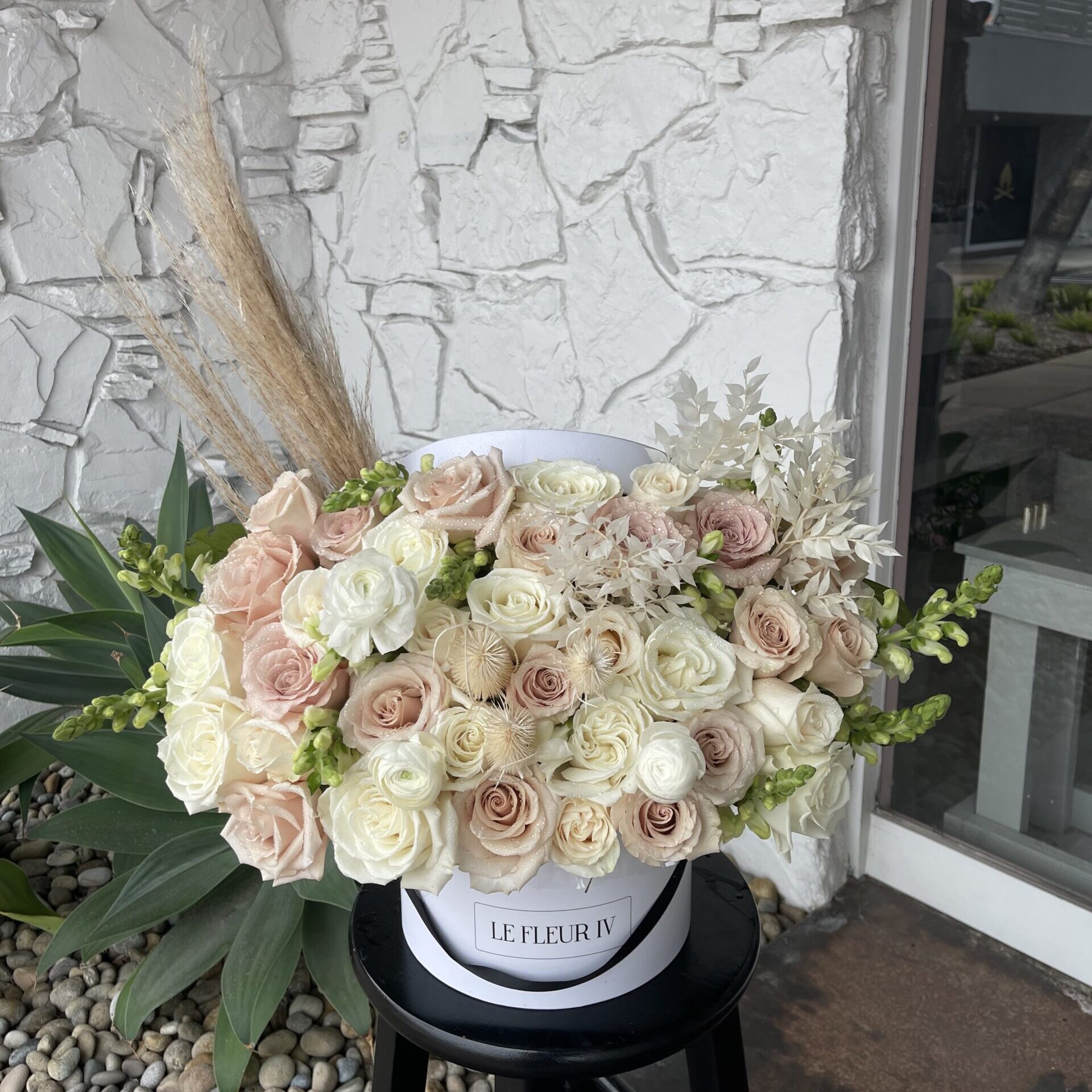 Champagne Whisper