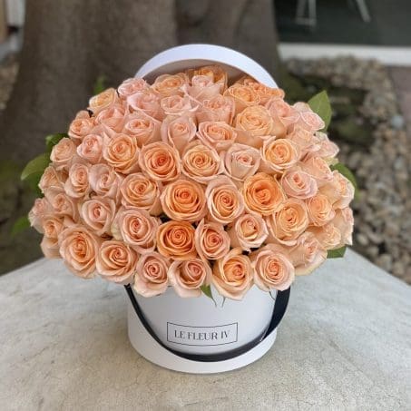 Maison Rose (Peach)