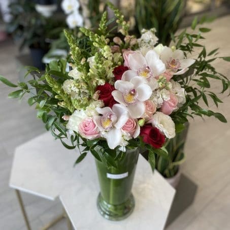 Orchid Serenade