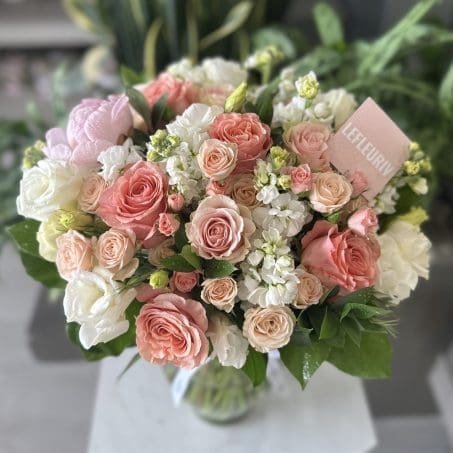 Honey Coral