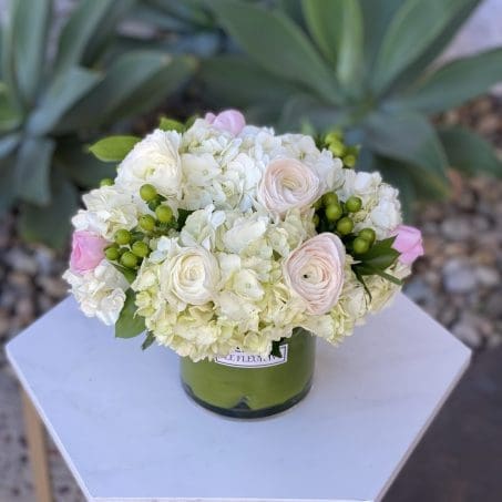Lush Hydrangeas
