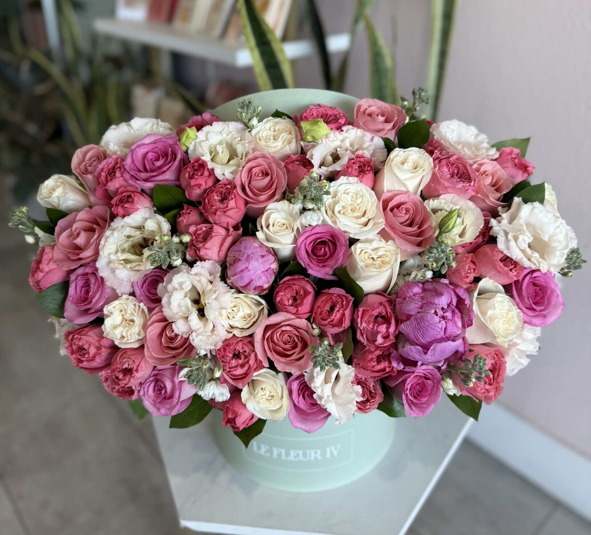 Regency Romance