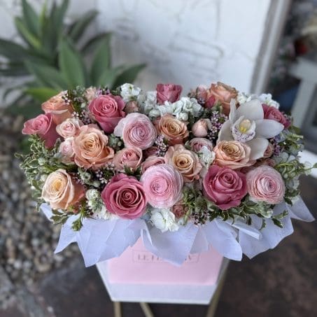 Renaissance Rose