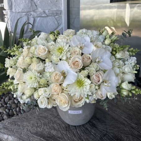 Bella Beige