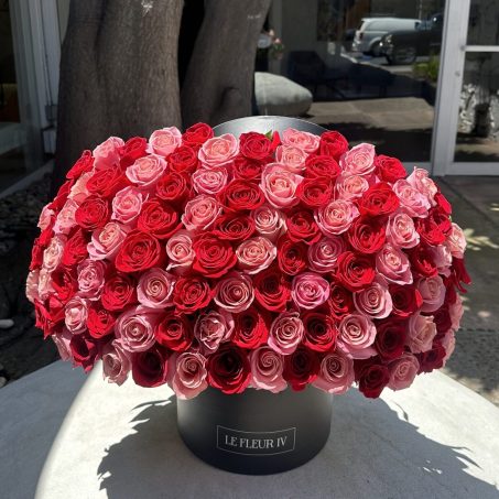 Persephone's Stripes (100 roses)