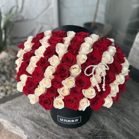 Persephone's Stripes (7 dozen duo)